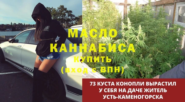spice Белокуриха