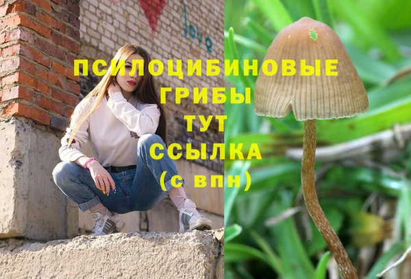 экстази Беломорск