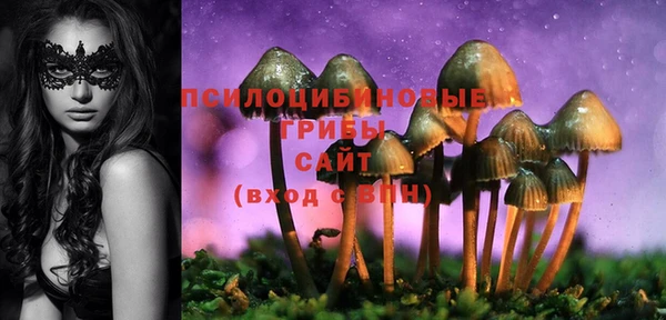 spice Белокуриха