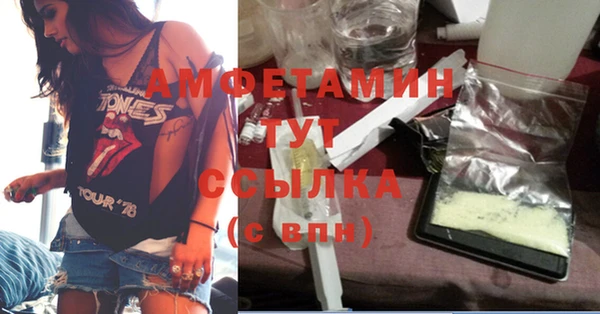 PSILOCYBIN Заводоуковск