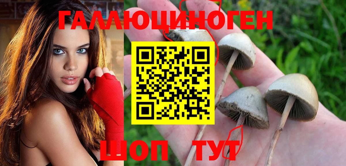 Вятские Поляны  Псилоцибиновые грибы мухоморы  дарнет шоп  Вход с VPN 